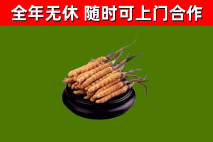 崇仁县烟酒回收冬虫夏草.jpg